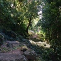 Costa da Lagoa