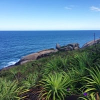Gravata trail