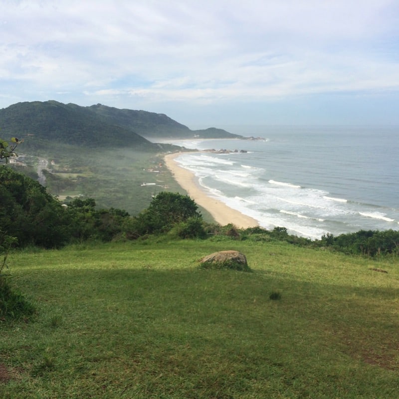 Mole beach