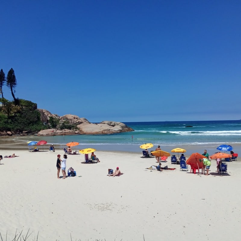 Joaquina
