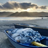 Pantano do Sul